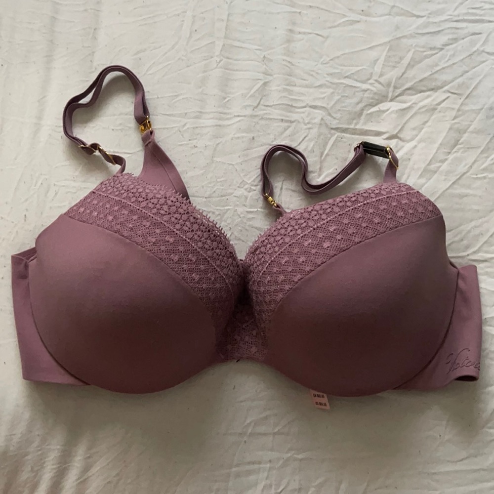 VS Incredible Bra